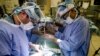 FILE - Surgeons operate on a patient at the hospital of the University of Pennsylvania in Philadelphia, Jan. 23, 2018. The Association of American Medical Colleges wrote in April 2019 that the U.S. will see a shortage of nearly 122,000 physicians by 2032.