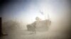 Afganistan'da Beş NATO Askeri Öldü