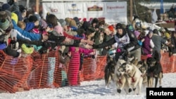 Dallas Seavey, winner of the 2012 Iditarod, charges down the trail during the re-start of the Iditarod dog sled race in Willow, Alaska, Mar. 3, 2013.