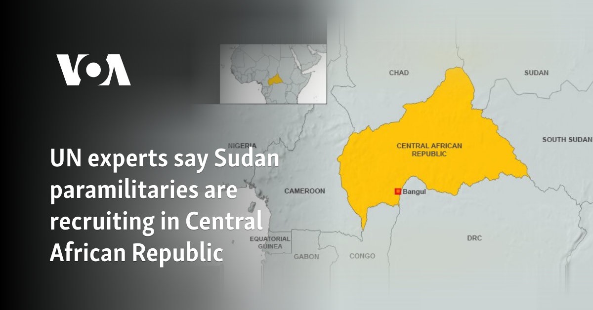 UN experts say Sudan paramilitaries are recruiting in Central African Republic