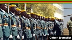 Zimbabwe Defence Forces Day