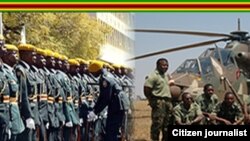 Zimbabwe Defence Forces Day