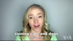 OMG!美语 Raining Cats And Dogs!