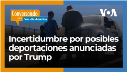 Las deportaciones masivas anunciadas por el presidente electo Donald Trump.
