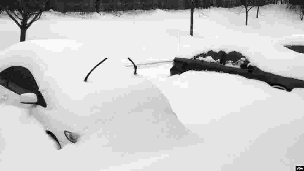 深陷雪中的车