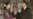 Spotlight Shines on Aung San Suu Kyi at World Economic Forum