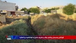 Koşka Osman Paşayê Caf û Adîla Xanim li Helebceyê Bûye Xirbeyeke Wêran