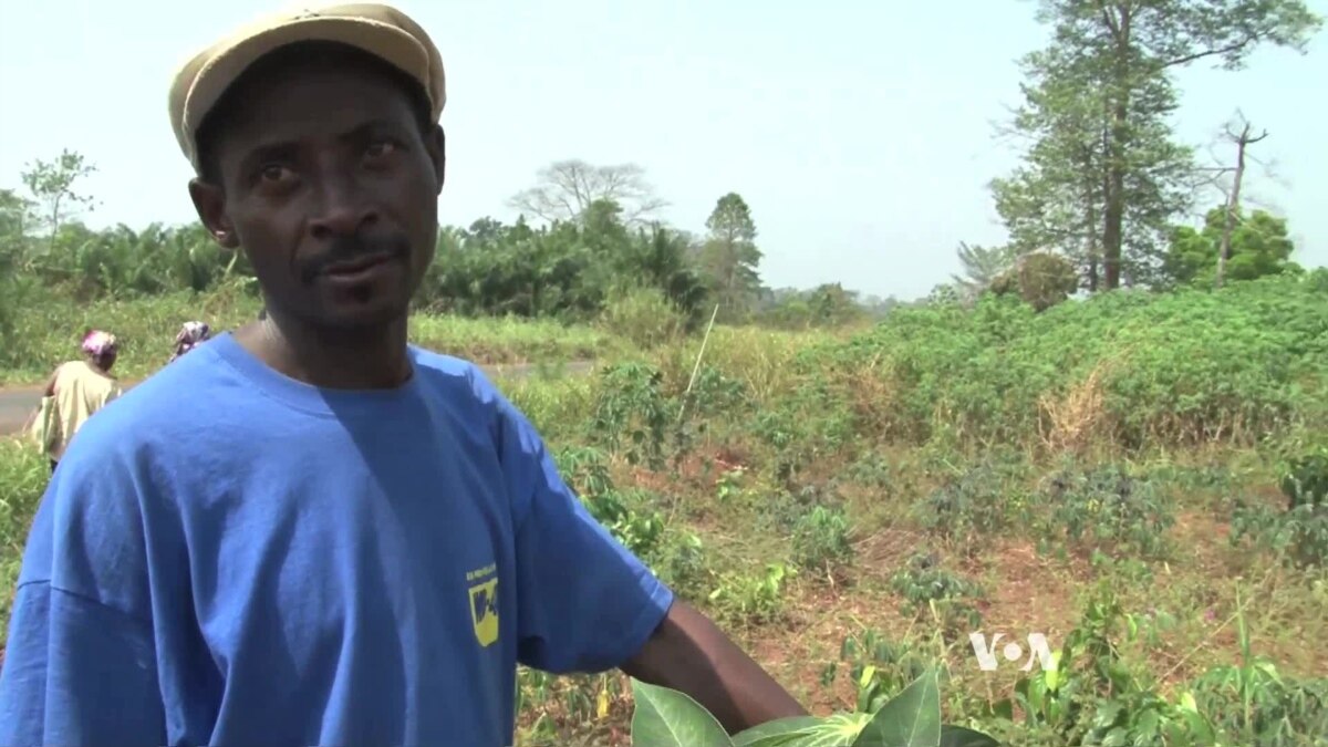 CAR Conflict Challenges Food Production