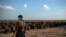 FILE - U.S.-backed Syrian Democratic Forces (SDF) fighters stand guard next to men waiting to be screened after being evacuated out of the last territory held by Islamic State group militants, near Baghouz, eastern Syria. 