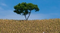 El Salvador: Especial cambio climático