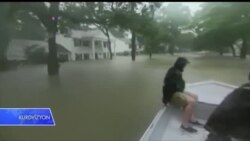 Wêrankarîya Bahoza Harvey li Bajarê Houston