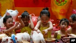 Anak-anak perempuan bermain-main dengan babi berukuran mini, sebuah hewan peliharaan langka di negara itu, di awal perayaan Tahun Baru Imlek, 1 Februari 2019 di Lucky Chinatown Plaza, Manila, Filipina (foto: AP Photo/Bullit Marquez)