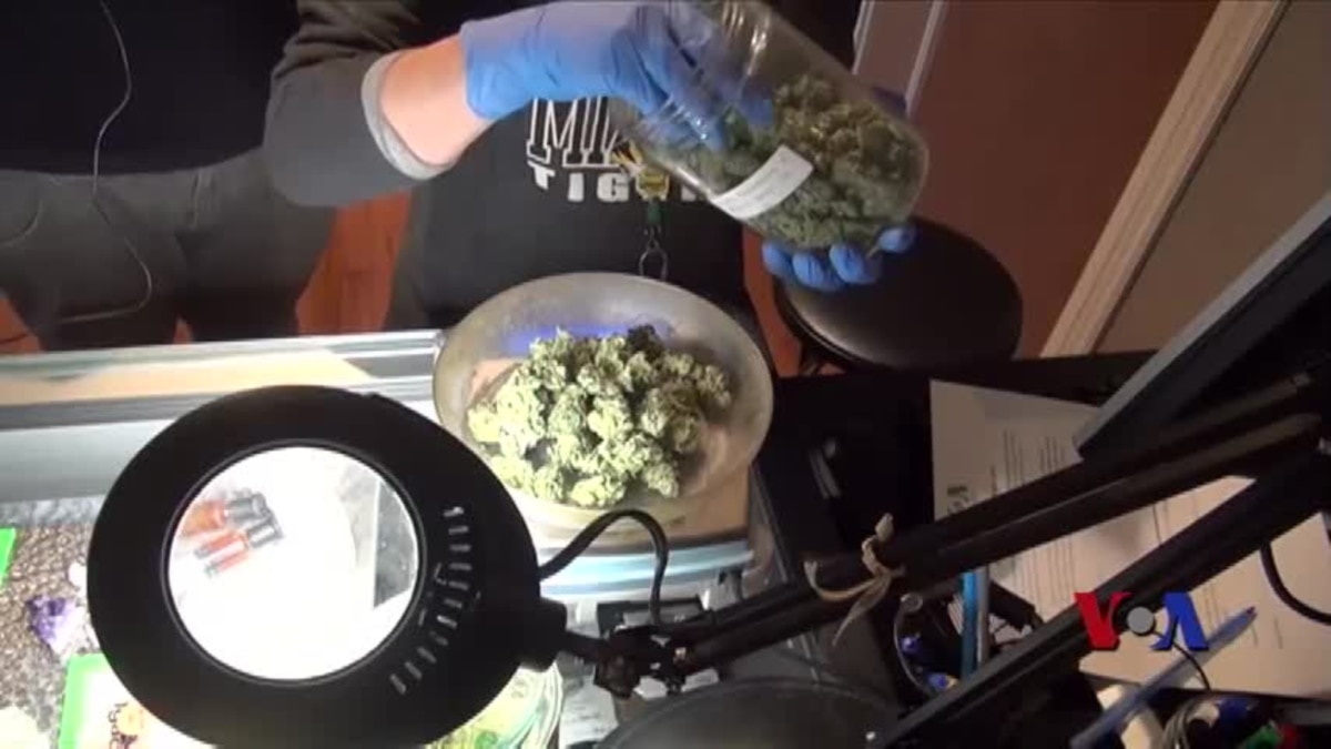 科罗拉多大麻合法化以后