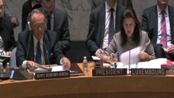 Ucrania presenta su caso ante Consejo de seguridad