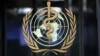 유엔, WHO 대북제재 면제 연장 4건 승인…“북한 국경 봉쇄, 물자 생산·운송 어려움 등 고려”