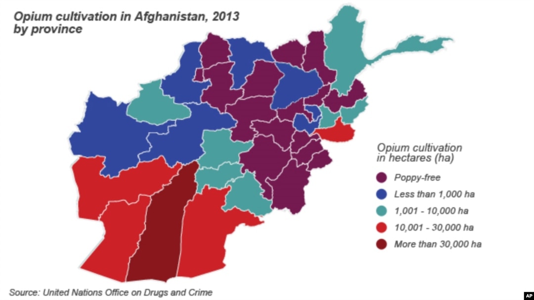 Cultivation of opium in Afghanistan provinces