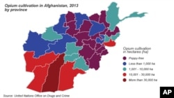 Cultivation of opium in Afghanistan provinces