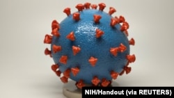 Od početka epidemije od koronavirusa u Crnoj Gori oboljelo 14.050 osoba (Foto: Reuters/NIH Handout) via REUTERS)
