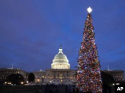 The soaring U.S. Capitol Christmas Tree has drawn criticism — not for its beauty, but for what some feel is its religious symbolism