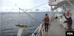 Greenpeace collected their snow and seawater samples from Antarctica during a three month trip to the southern continent.