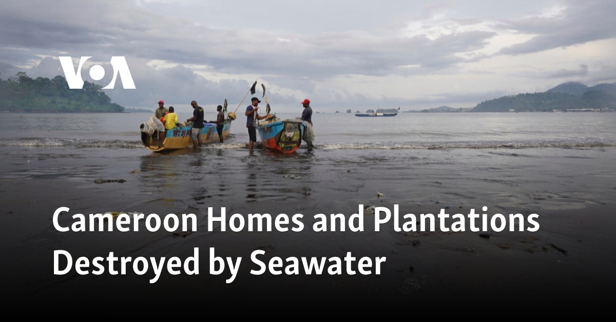 Cameroon Homes and Plantations Destroyed by Seawater