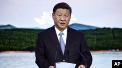 中国国家主席习近平在俄罗斯符拉迪沃斯托克的东方经济论坛上