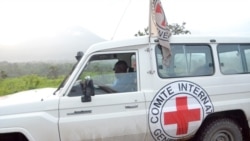 Cabo Delgado: Comité Internacional da Cruz Vermelha promete mais ajuda humanitária