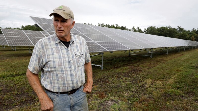 US Cranberry Farmers Add Solar Equipment to Earn Extra Money