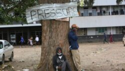 Two men relax under a tree in a poor township on the outskirts of the capital Harare, Nov, 16, 2021.