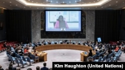 Hafsa Ahmed speaking to the UN Security Council by video from Nairobi, Kenya on Oct. 2, 2019.