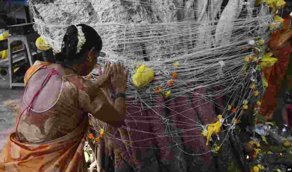فستیوال زنان نخ به دست در هند - زنان در این فستیوال، همزمان با افطار، نخ هایی را به دور درختان مقدس می بندند و برای طول عمر شوهرشان دعا می کنند.&nbsp;