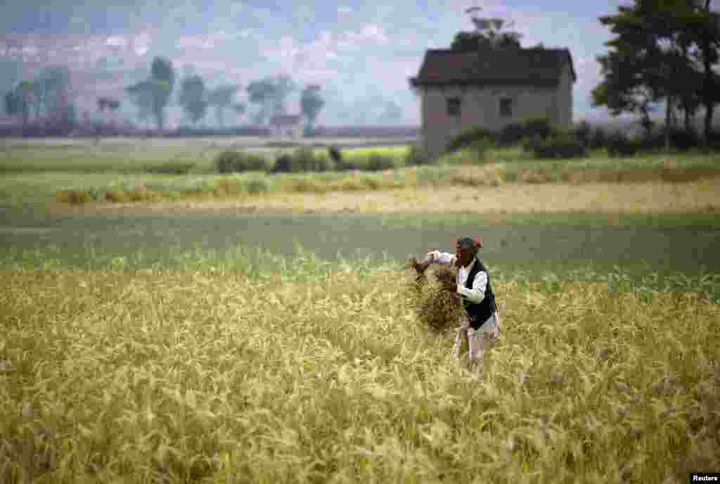 A farmer works in his field at Khokana, Lalitpur, Nepal.