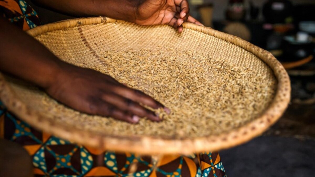 Zimbabwean Suing Finance Minister, ZIMRA Over Rice Value Added Tax ...