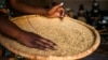 Des centaines d'hectares de riz détruits par des inondations au Niger