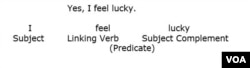 Linking verb pattern