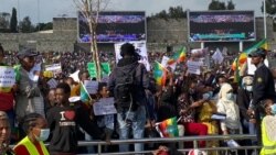 የአዲስ አበባ ሰልፍ ለዓለምአቀፉ ማኅበረሰብ መልዕክት አስተላለፈ