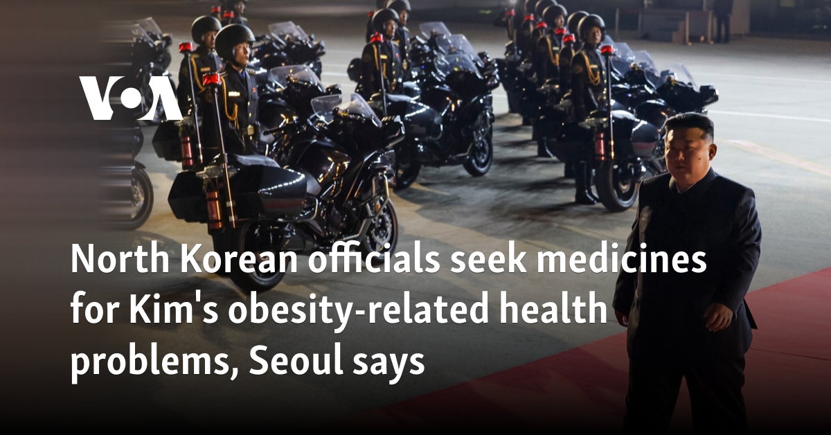 North Korean officials seek medicines for Kim's obesity-related health