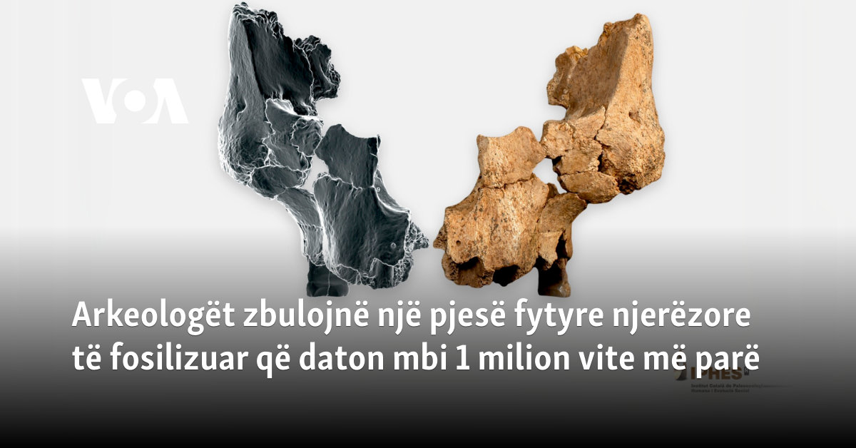 Arkeologët zbulojnë një pjesë fytyre njerëzore të fosilizuar që daton mbi 1 milion vite më parë