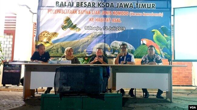 Dirjen KSDAE Kementerian Lingkungan Hidup dan Kehutanan Wiratno (tengah), dan Kepala BBKSDA Jawa Timur Nandang Prihadi (kedua kanan) memberi keterangan pers terkait pelepasliaran satwa komodo. (Foto: Petrus Riski/VOA)