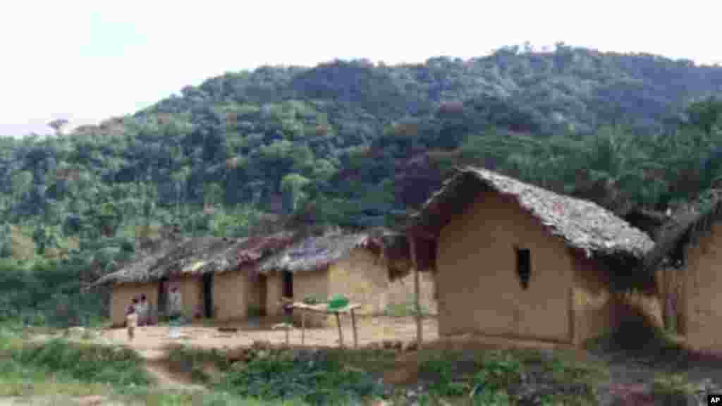 A Luvungi les FDLR et les milices vivent dans cette forêt qui entoure le village.