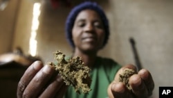 FILE - Zimbabwean healer Martha Katsande shows a traditional medicine used in her surgery practice, Harare.