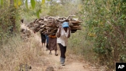 FILE -Women walk out of the forest carrying wood to use for cooking, in Tsavo East, in Kenya, June 20, 2014. A new report says environmental crime such as poaching elephants for ivory and selling illegal charcoal is helping finance criminal, militia and terrorists.