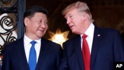 FILE - Chinese President Xi Jinping, left, smiles at U.S. President Donald Trump as they pose together for photographers before dinner at Mar-a-Lago in Palm Beach, Florida, April 6, 2017. 