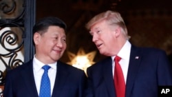 도널드 트럼프(오른쪽) 미국 대통령과 시진핑 중국 국가주석이 지난 4월 플로리다주 마라라고 리조트에서 만찬에 앞서 환담하고 있다. (자료사진)