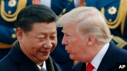 FILE - U.S. President Donald Trump, right, chats with Chinese President Xi Jinping in Beijing, China. 