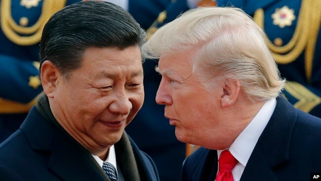 美国总统特朗普和中国国家主席习近平2017年11月9日在北京的一个欢迎仪式上交谈。