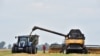 Україна може збільшити експорт пшениці завдяки конфлікту Саудівської Аравії та Канади