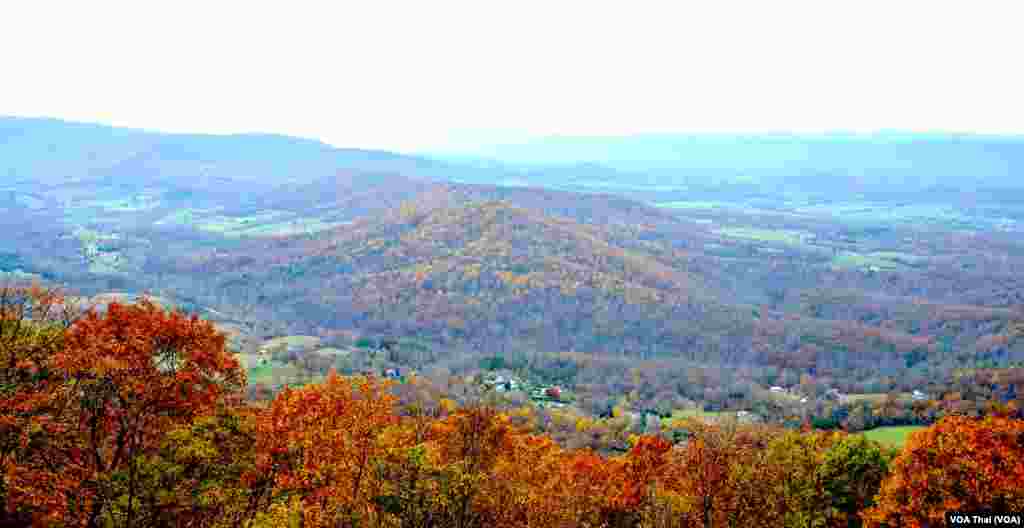 Shenandoah National Park 