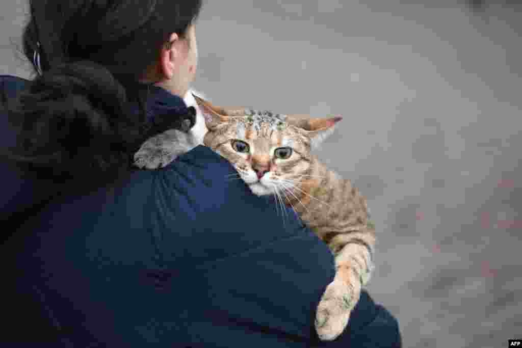 A woman carries her cat as she walks near Kyiv-Pasazhyrskyi railway station in Kyiv after cities were hit with what Ukrainian officials said were Russian missile strikes and artillery.