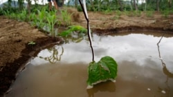 Securing Water For Food